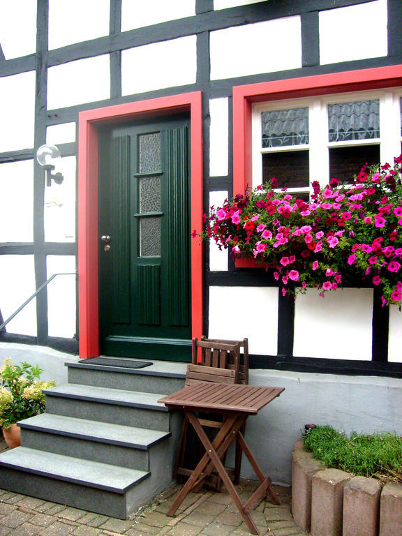 Ferienwohnung Duerbaum Schleiden Exteriör bild